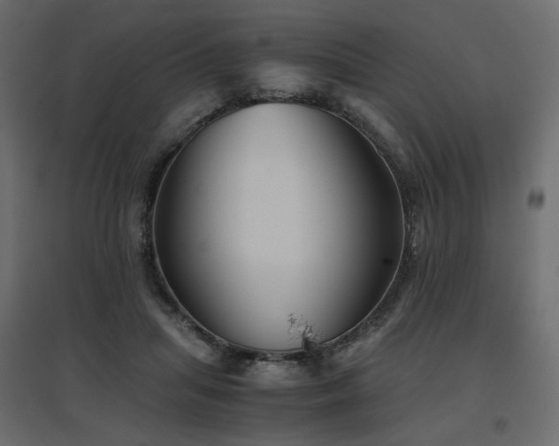 X0000097760455200803071259