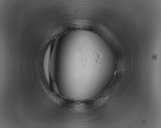 X0000097760456200803071259