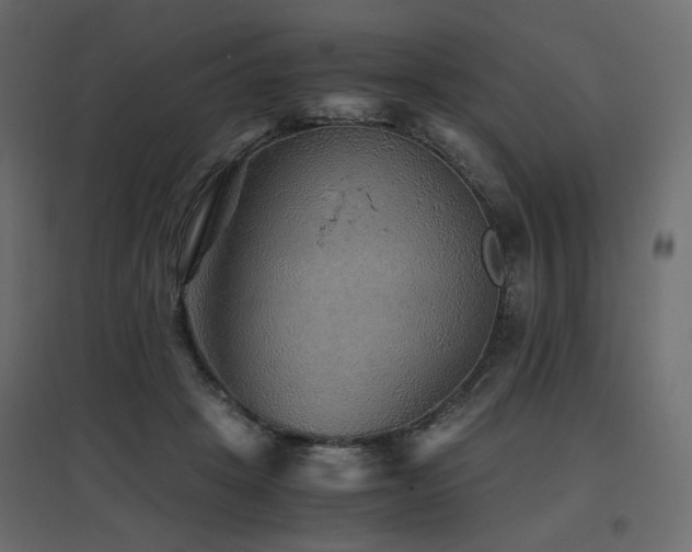 X0000097760457200803071259