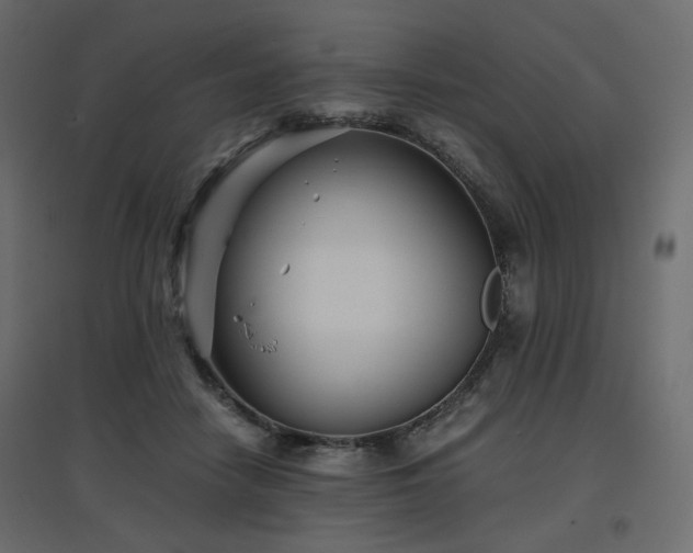 X0000097760458200803071259