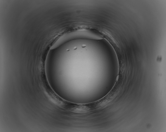 X0000097760459200803071259