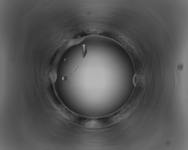 X0000097760460200803071259