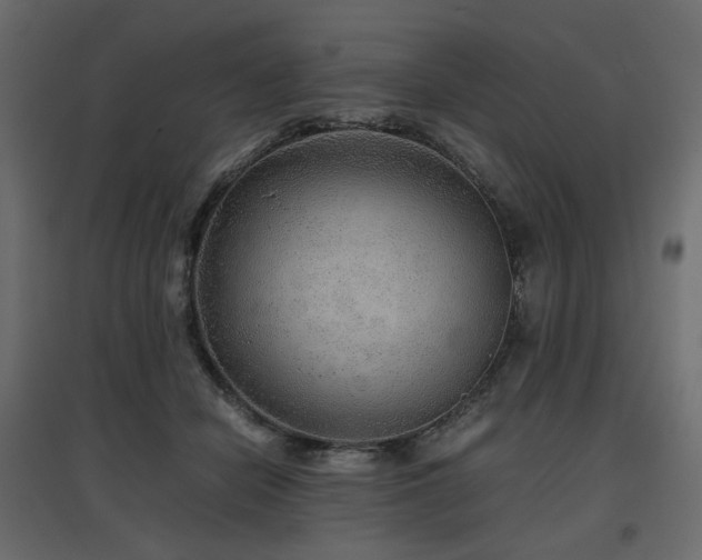 X0000097760462200803071259