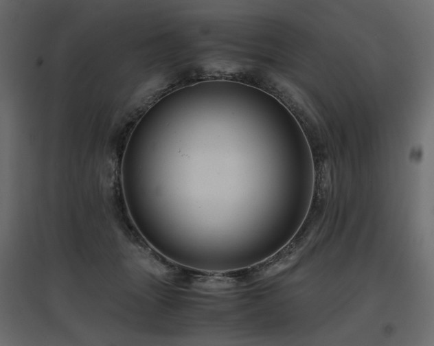 X0000097760463200803071259