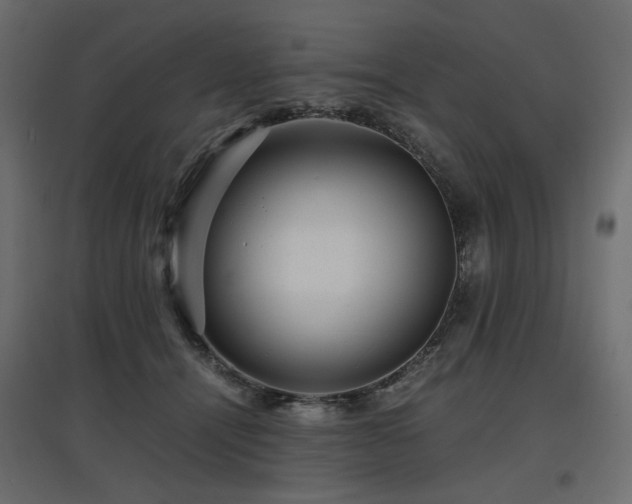 X0000097760464200803071259