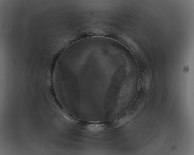 X0000097760465200803071259