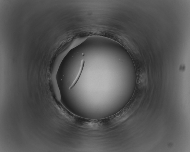 X0000097760466200803071259