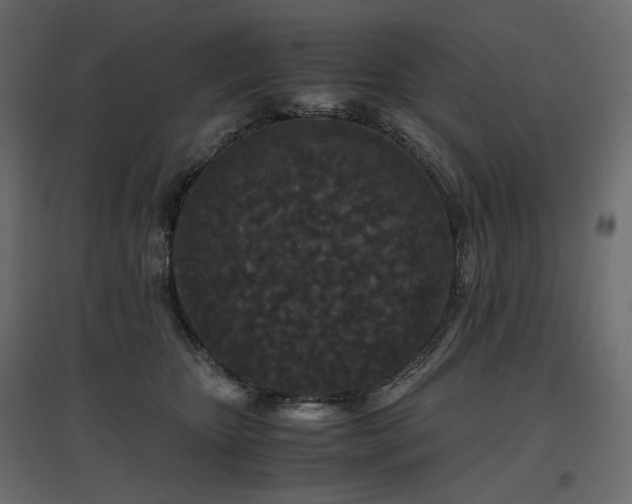 X0000097760467200803071259