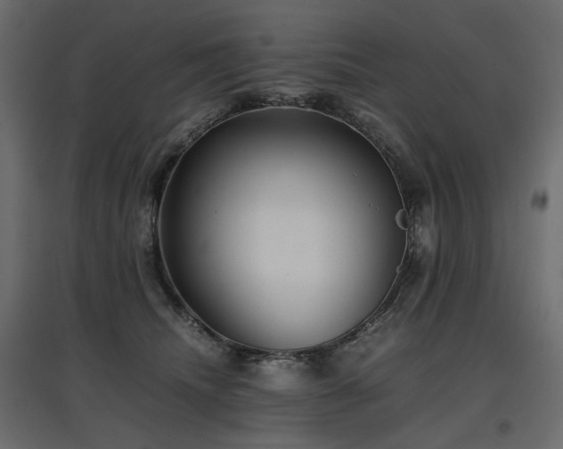 X0000097760468200803071259