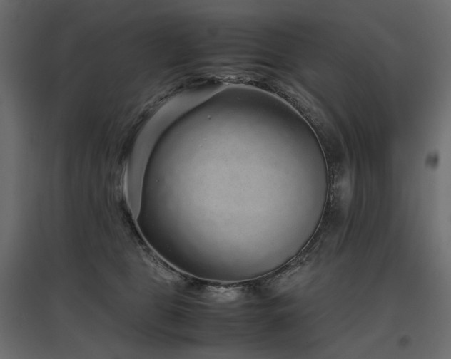 X0000097760469200803071259