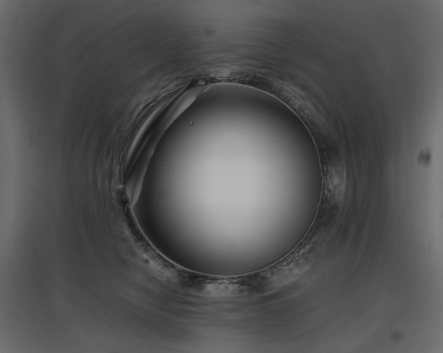 X0000097760470200803071259