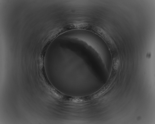 X0000097760471200803071259