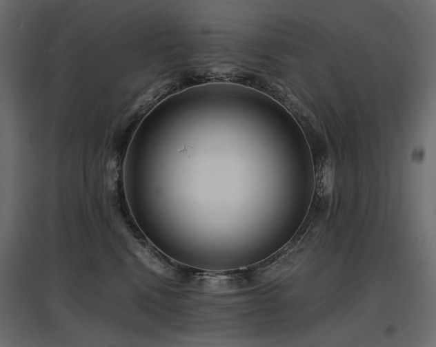 X0000097760472200803071259