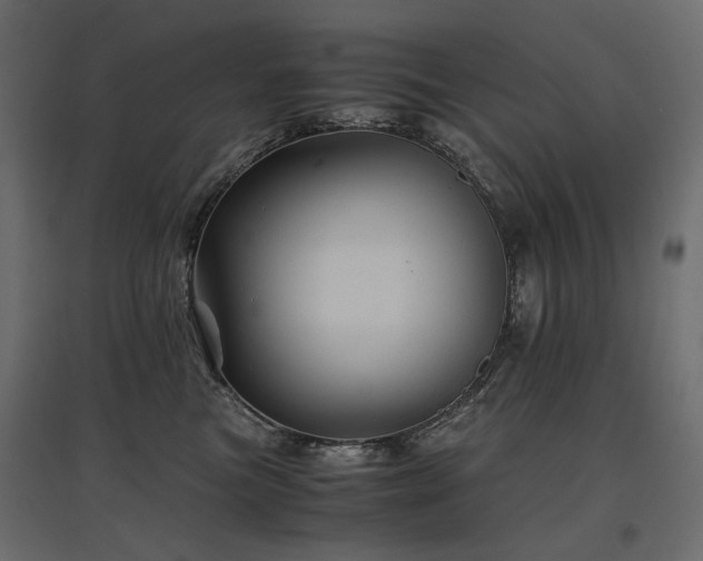 X0000097760473200803071259