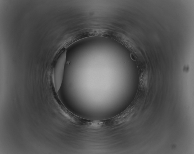 X0000097760474200803071259