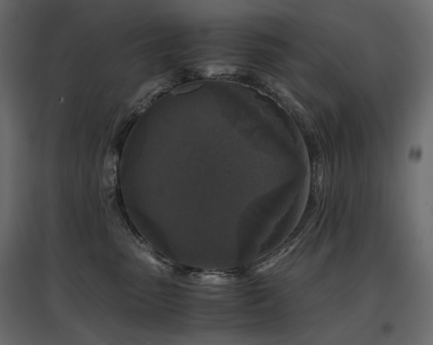 X0000097760475200803071259