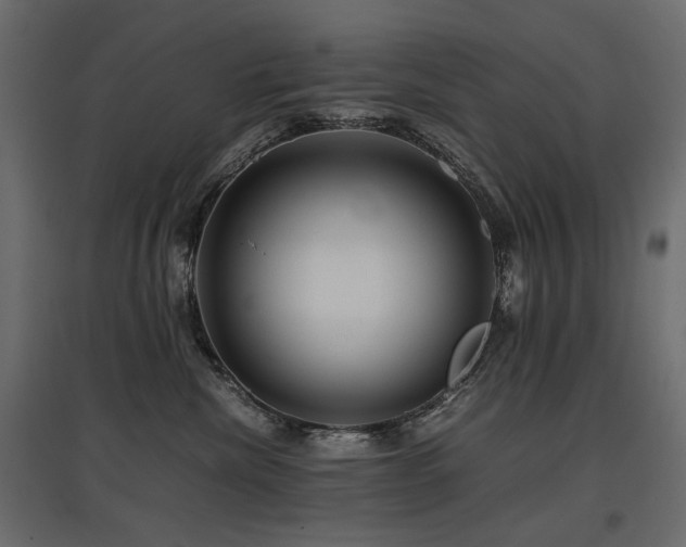 X0000097760476200803071259