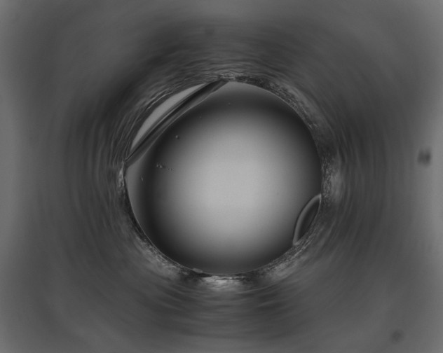 X0000097760477200803071259