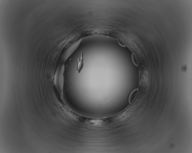 X0000097760478200803071259