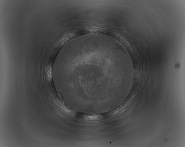 X0000097760479200803071259