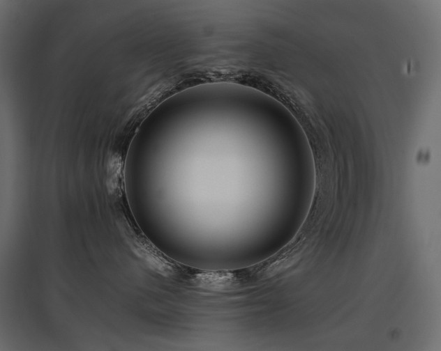 X0000097760480200803071259