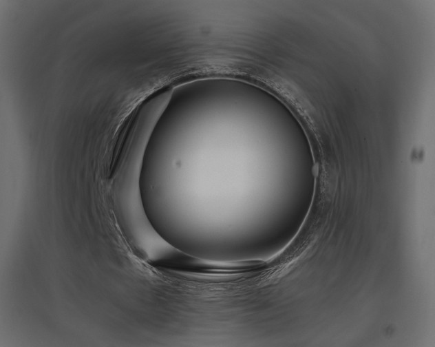 X0000097760481200803071258