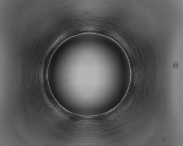 X0000097760482200803071258