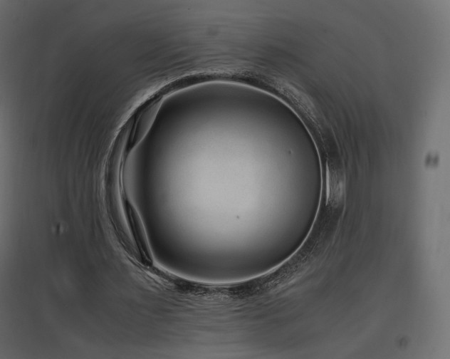 X0000097760483200803071258