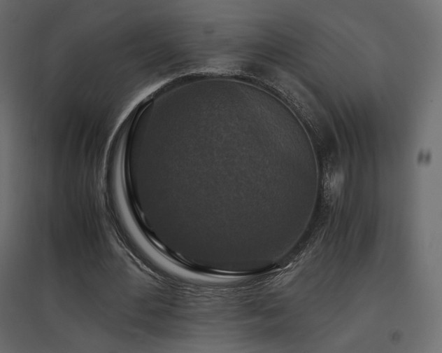 X0000097760484200803071258