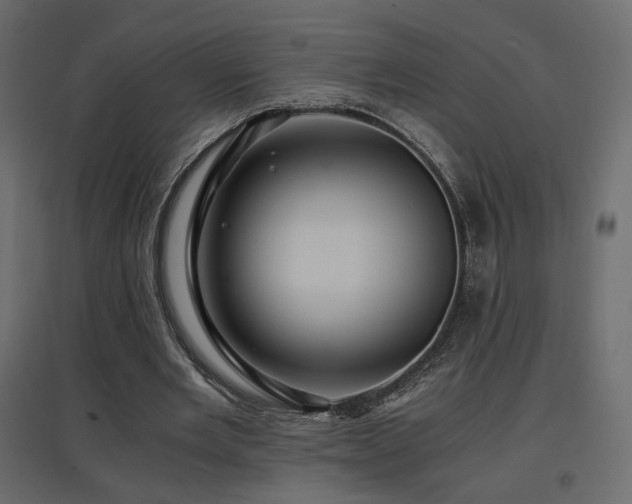 X0000097760485200803071258