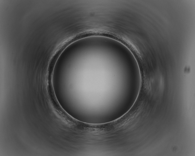 X0000097760486200803071258