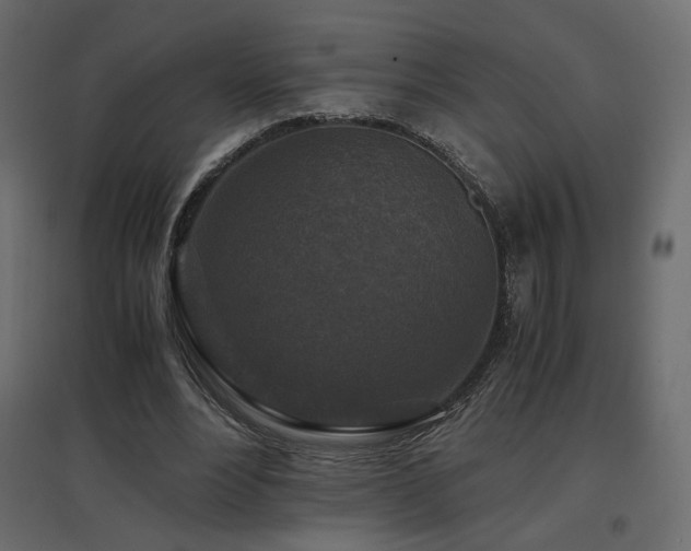 X0000097760488200803071258