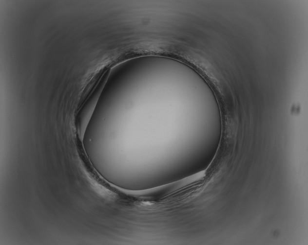 X0000097760489200803071258