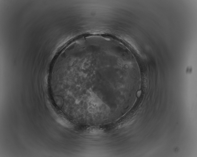 X0000097760491200803071258