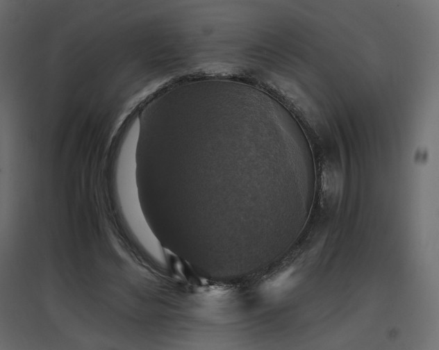 X0000097760492200803071258