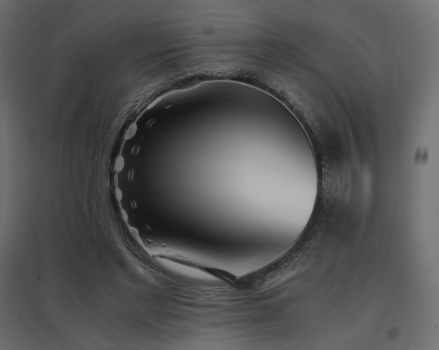 X0000097760493200803071258