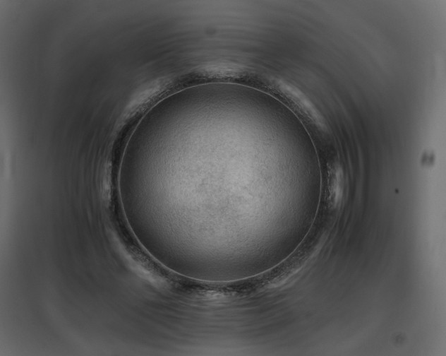 X0000097760494200803071258