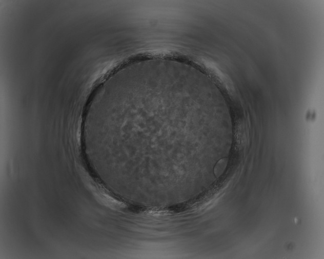 X0000097760495200803071258