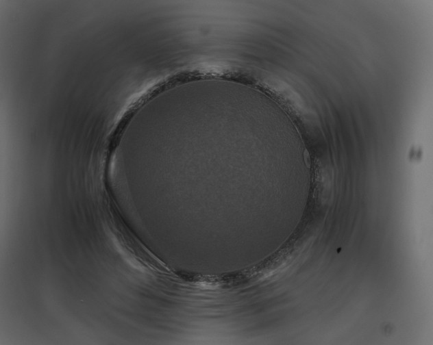 X0000097760496200803071258