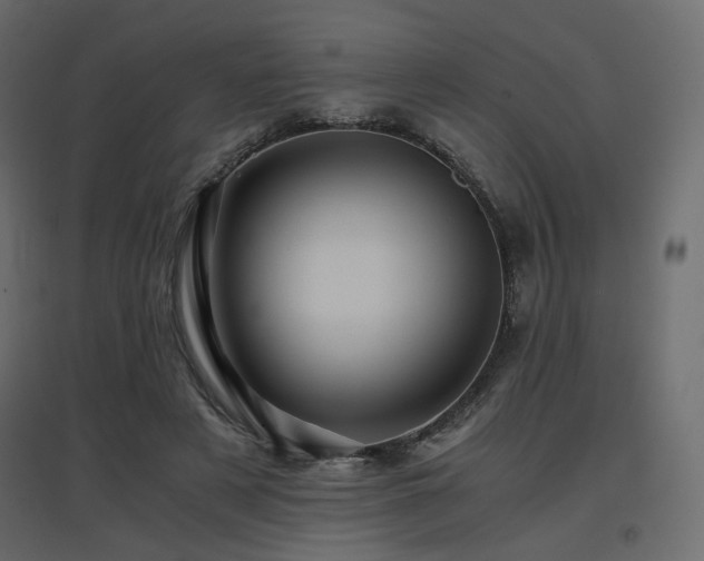 X0000097760497200803071258