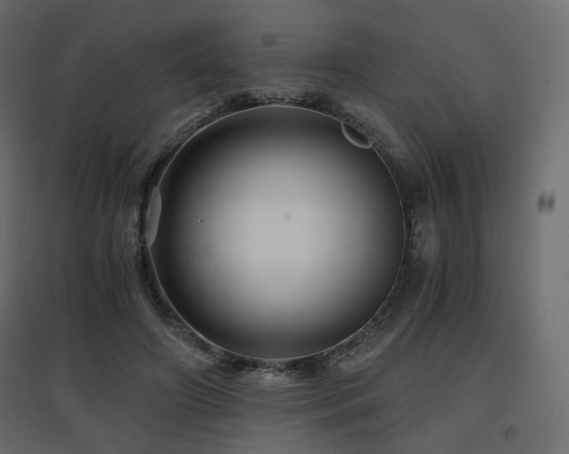 X0000097760498200803071258