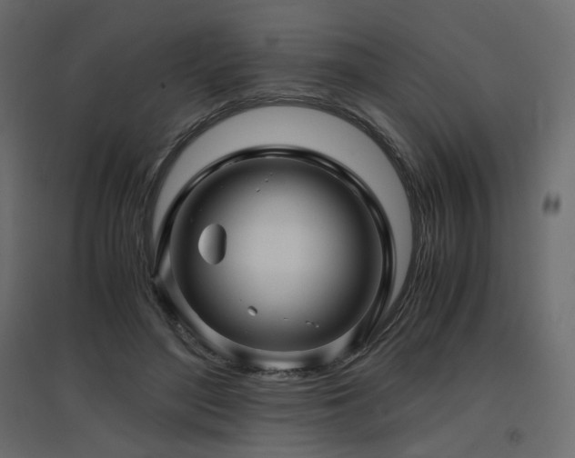 X0000097760500200803071258