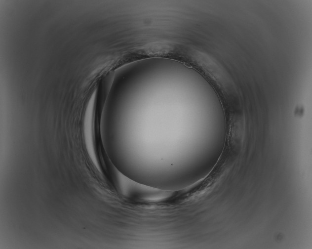 X0000097760501200803071258