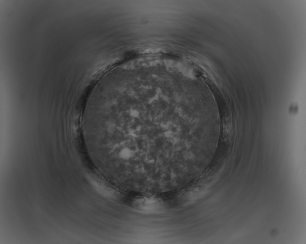 X0000097760503200803071258