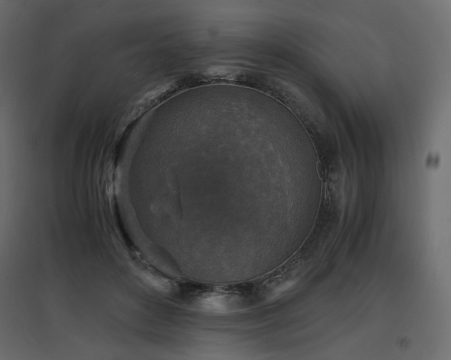 X0000097760504200803071258