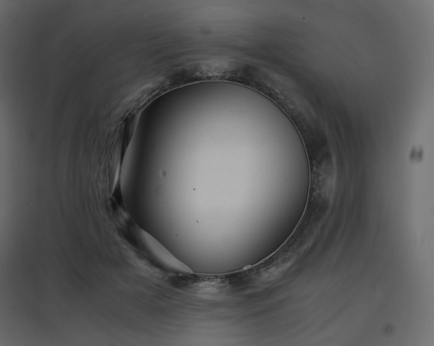 X0000097760505200803071258