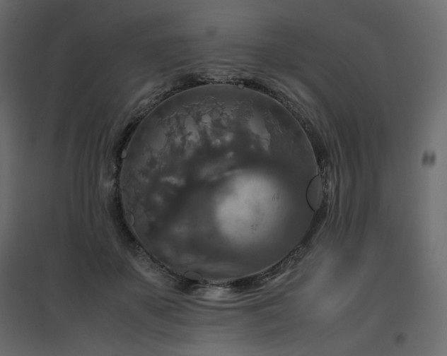 X0000097760507200803071258