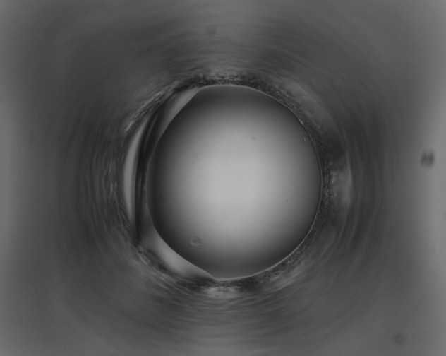 X0000097760508200803071258