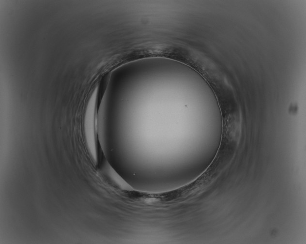 X0000097760509200803071258