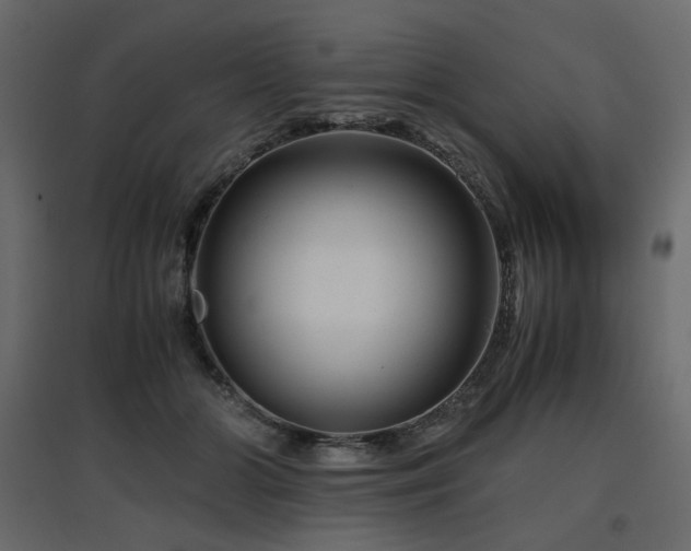 X0000097760510200803071258